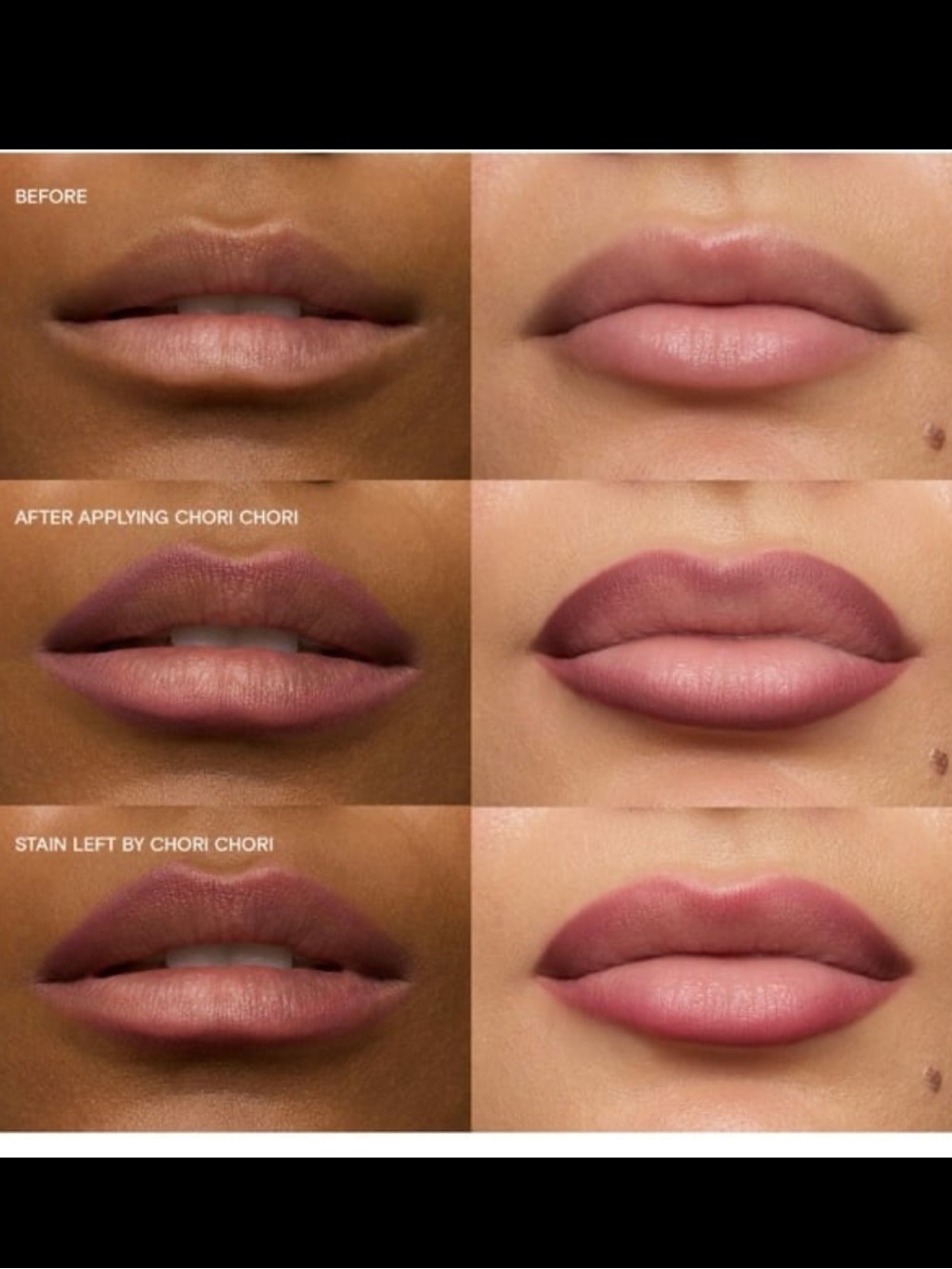 Kulfi Lassi Lips Staining Lip Liner Pencil in Chori Chori BNIB